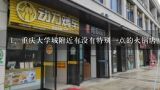 重庆大学城附近有没有特别一点的火锅店？有什么好吃的火锅店推荐吗？