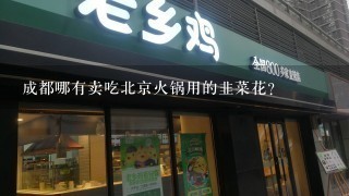 成都哪有卖吃北京火锅用的韭菜花?