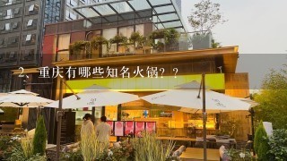 重庆有哪些知名火锅？？