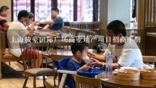 上海骏豪国际广场商业地产项目招商手册
