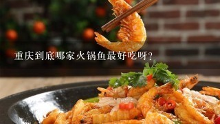 重庆到底哪家火锅鱼最好吃呀？