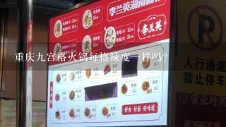 重庆九宫格火锅每格辣度一样吗？